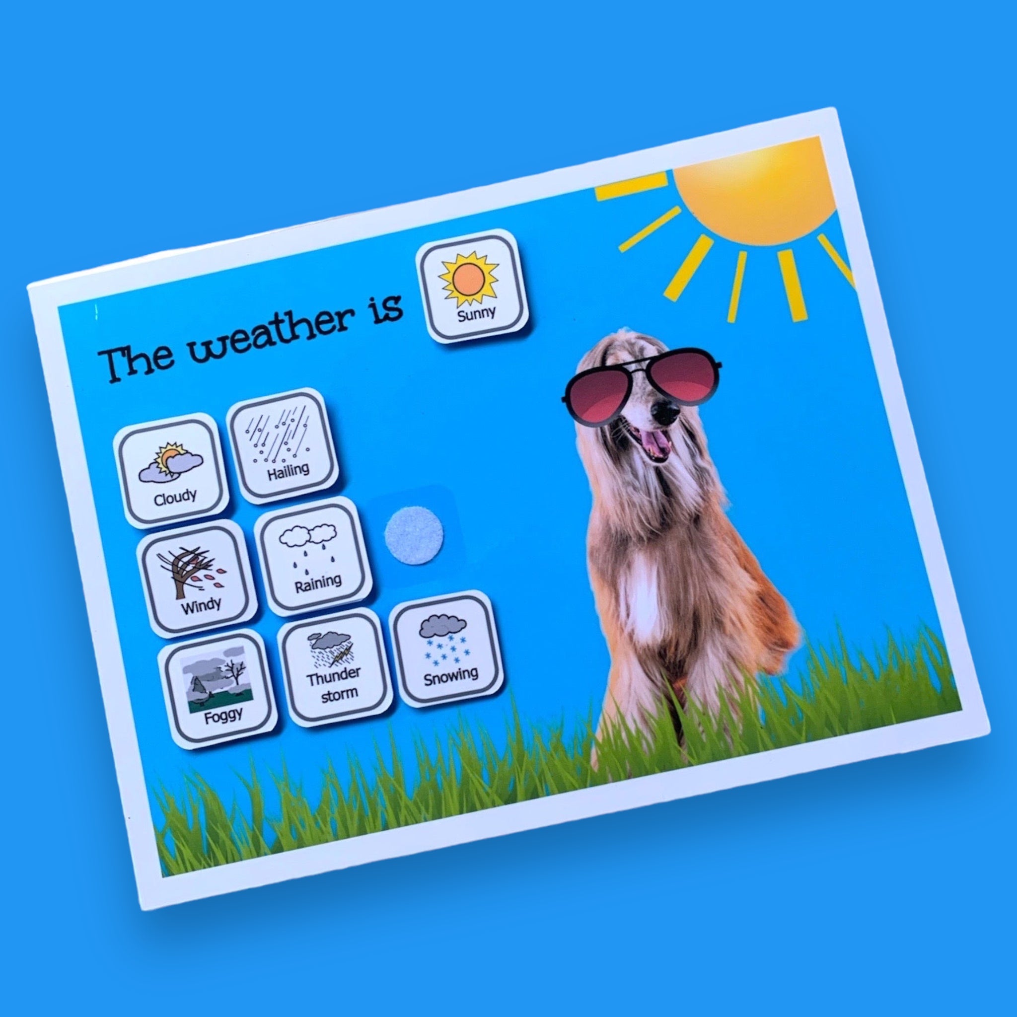 Dog weather chart Clever Klogs