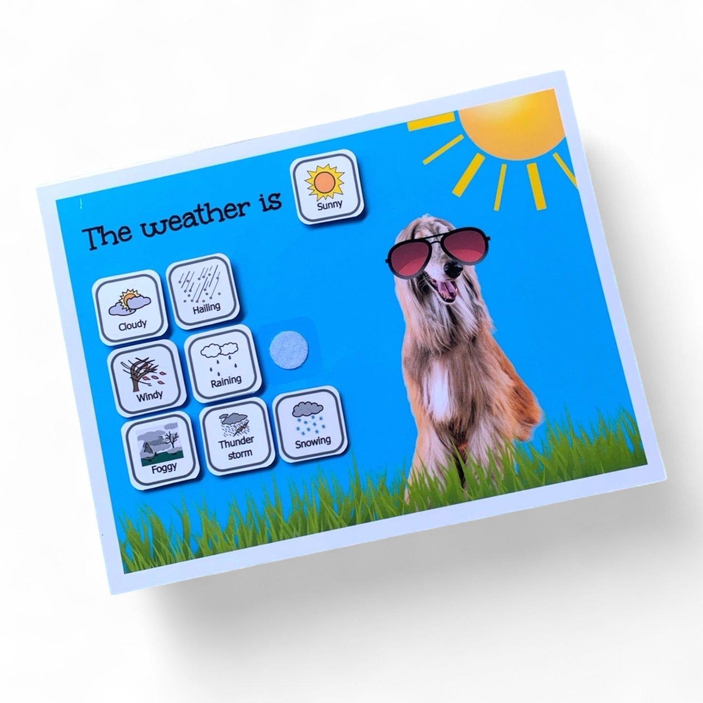 Weather chart/ Dog- Visual support