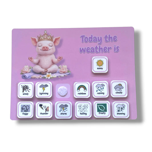 Kids fridge magnet weather chart. Autism visual schedule