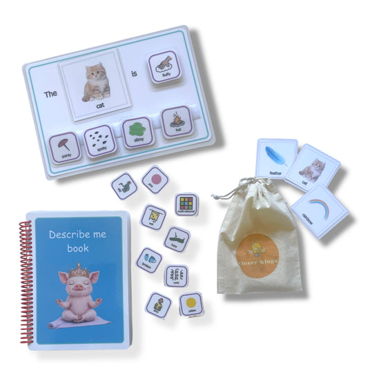 Autism visual schedule, describing -adjective, visual supports, autism learning aids, 