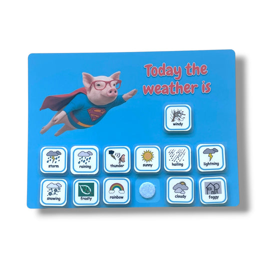 Kids fridge magnet weather chart. Autism visual schedule