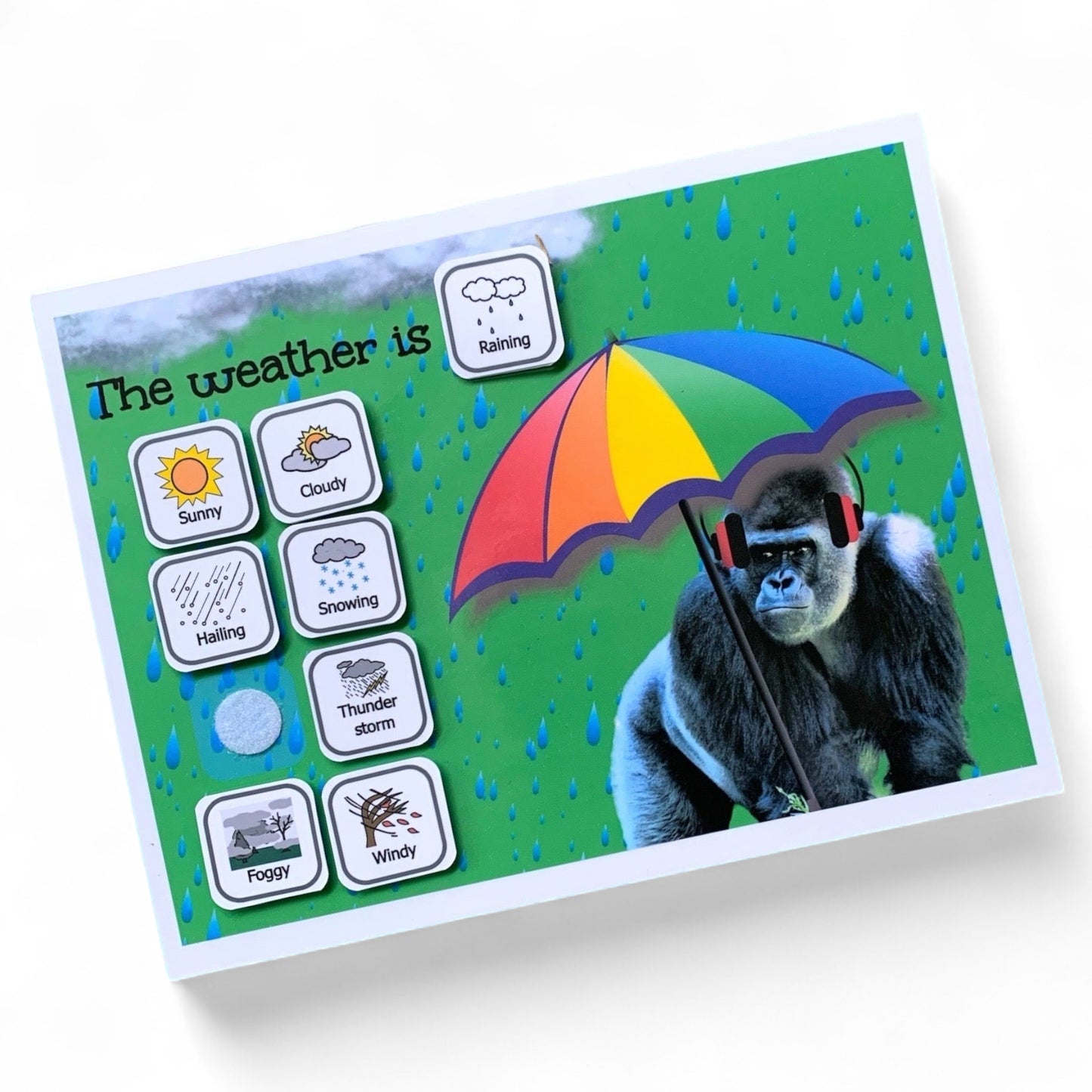 weather chart, autism visual supports